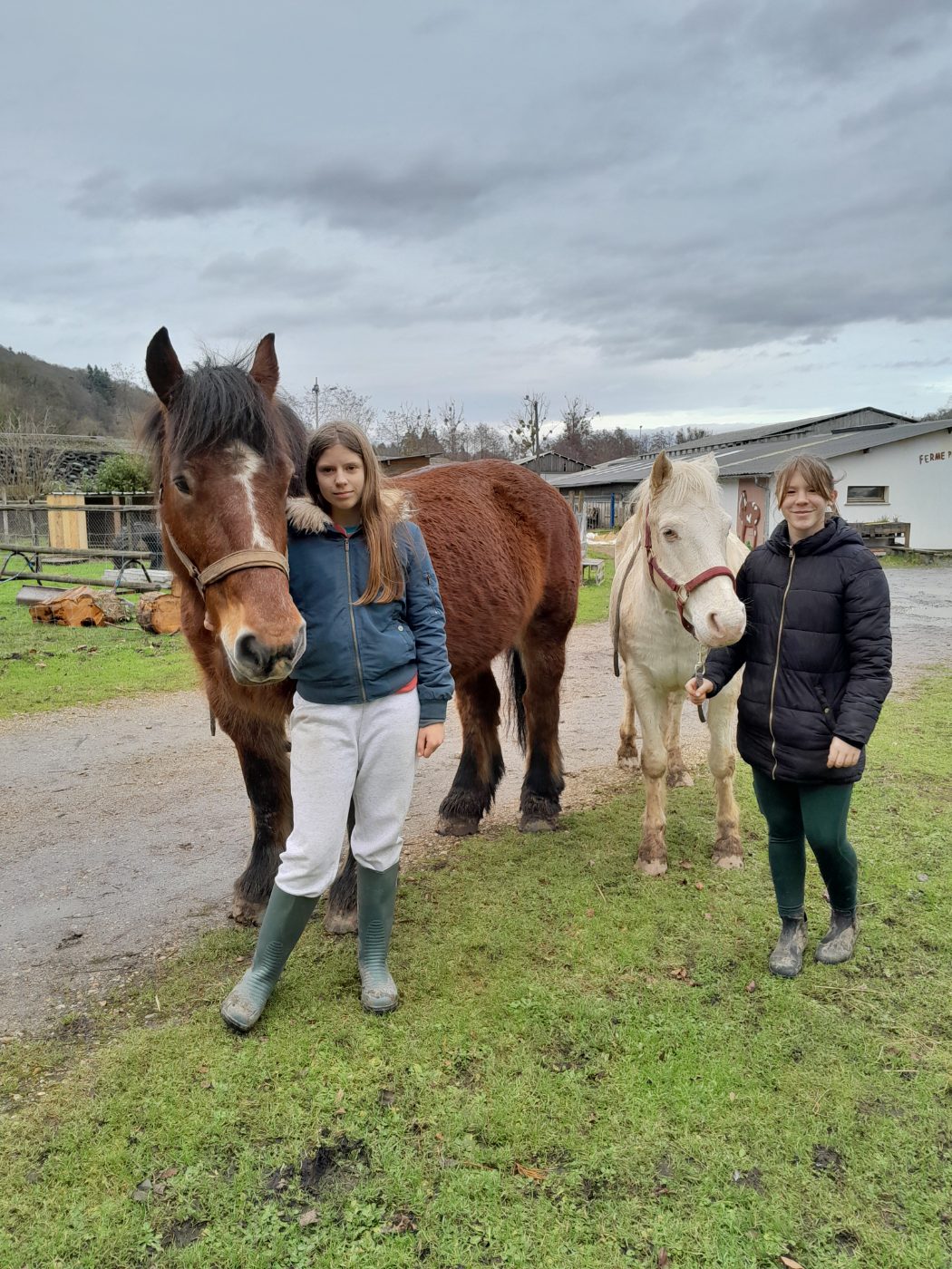 Photo de Visite de la ferme et animations pour les groupes