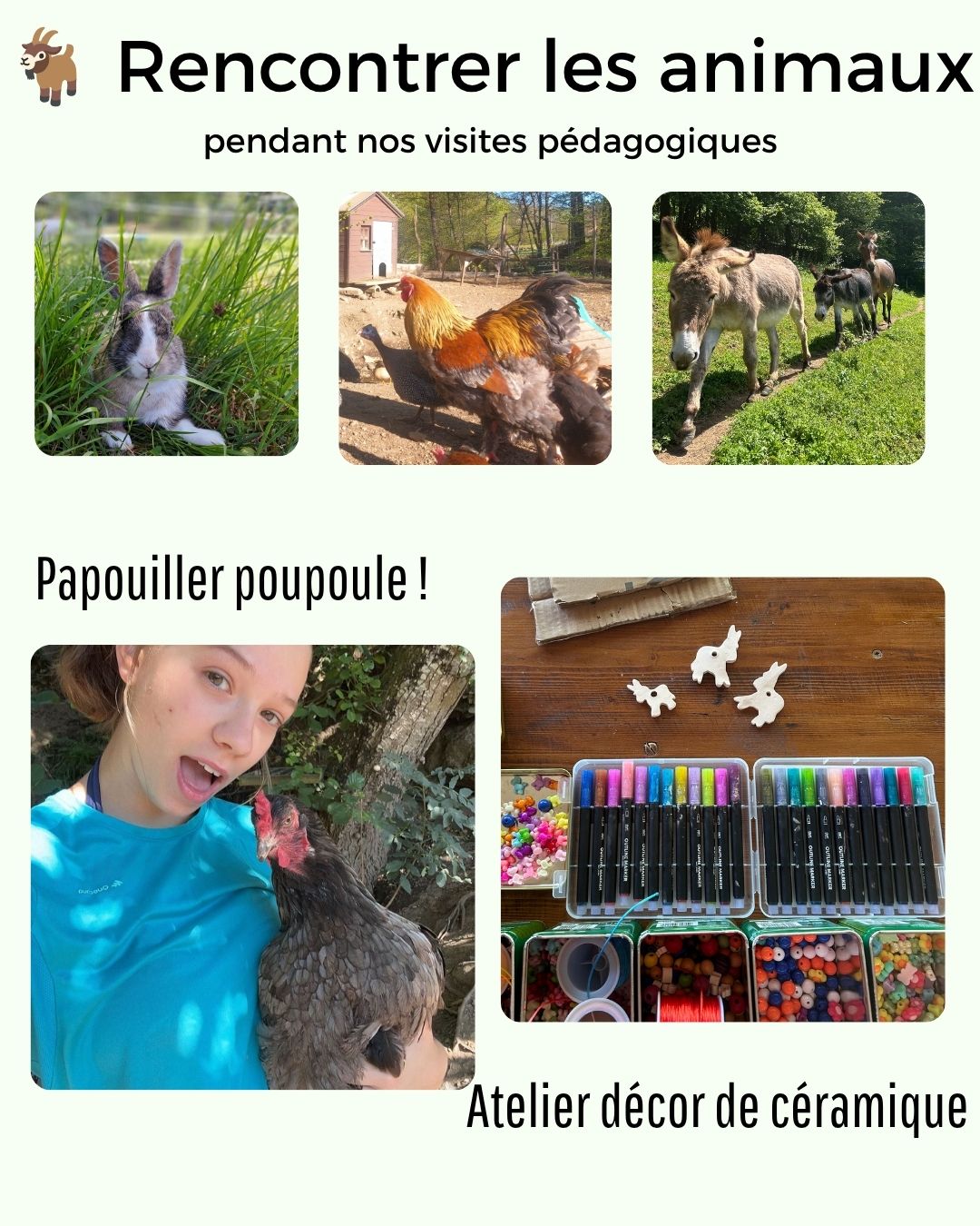 Photo de Visites pédagogique de la ferme