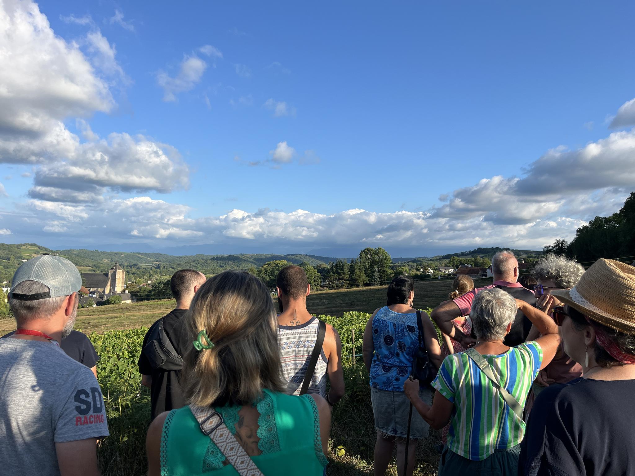 Photo de Balade dinatoire au crépuscule, AOC Jurançon