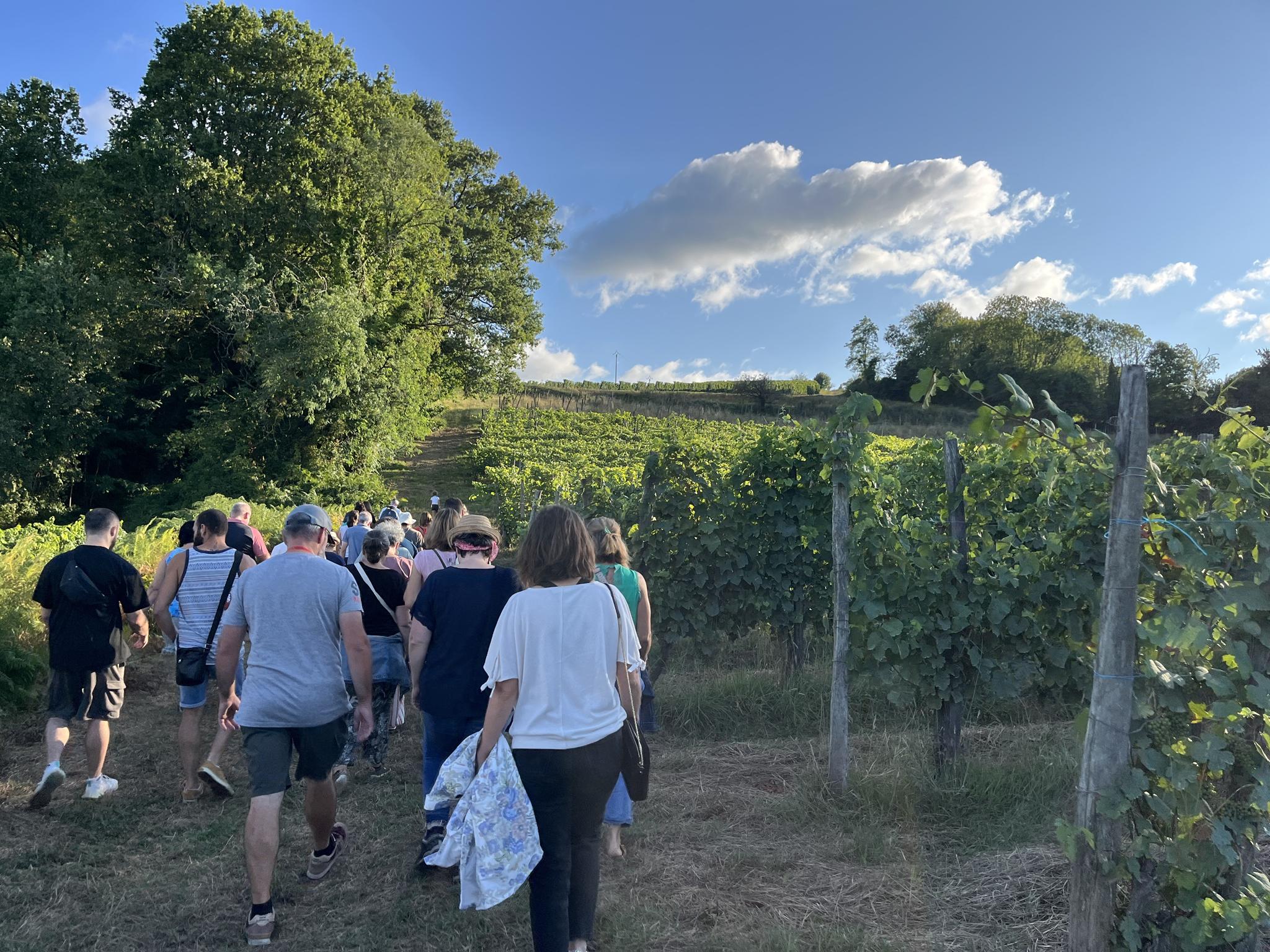 Photo de Balade dinatoire au crépuscule, AOC Jurançon