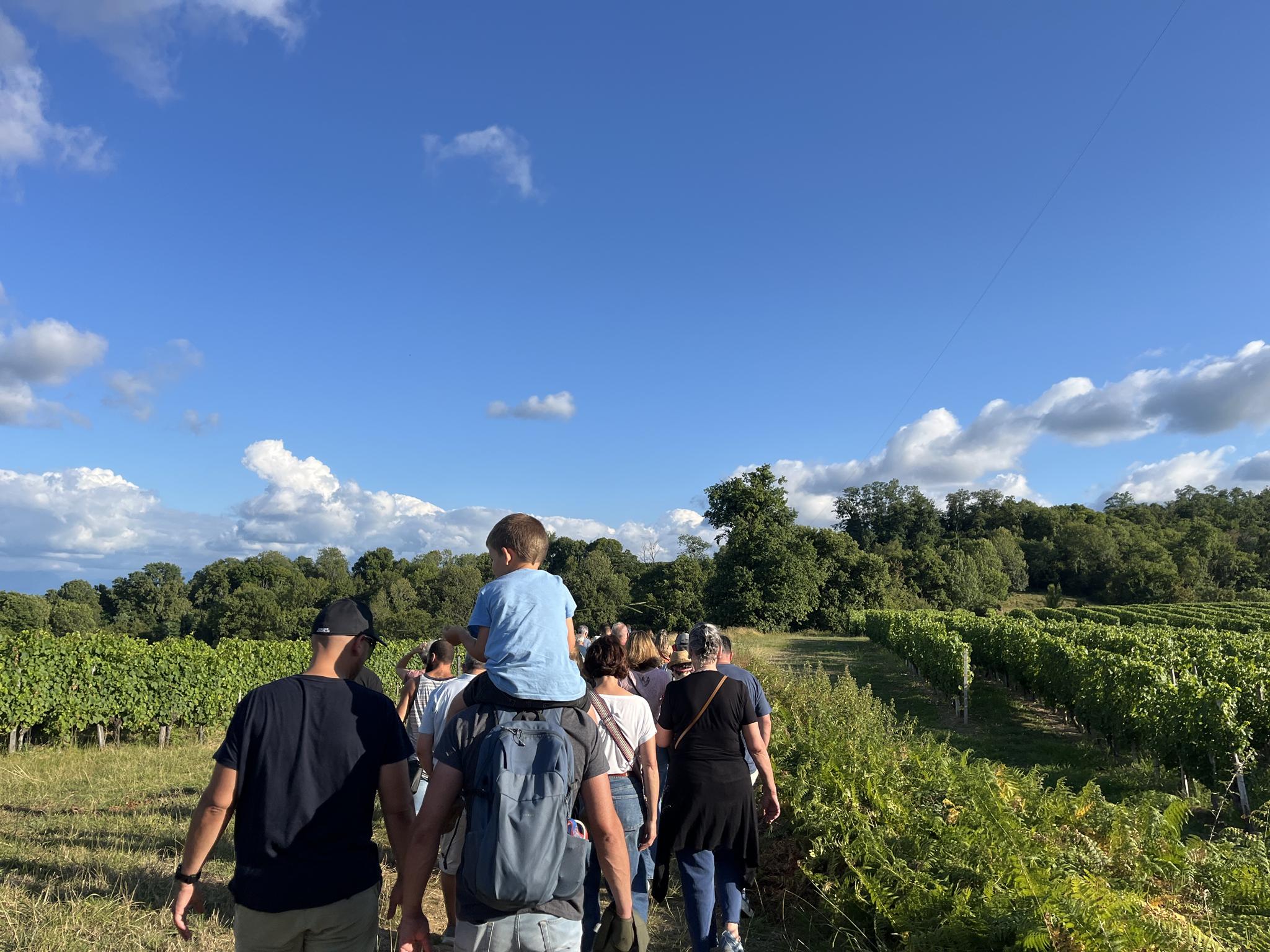 Photo de Balade dinatoire au crépuscule, AOC Jurançon