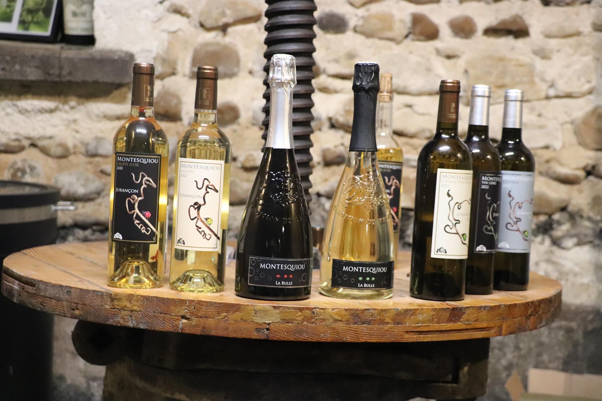 Photo de Balade vigneronne au domaine Montesquiou