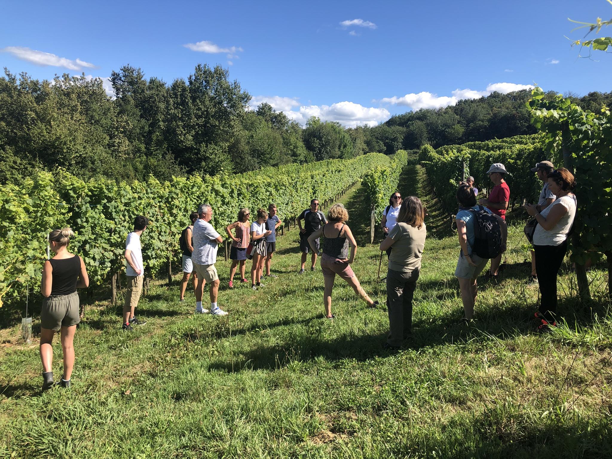 Photo de Balade vigneronne au domaine Montesquiou