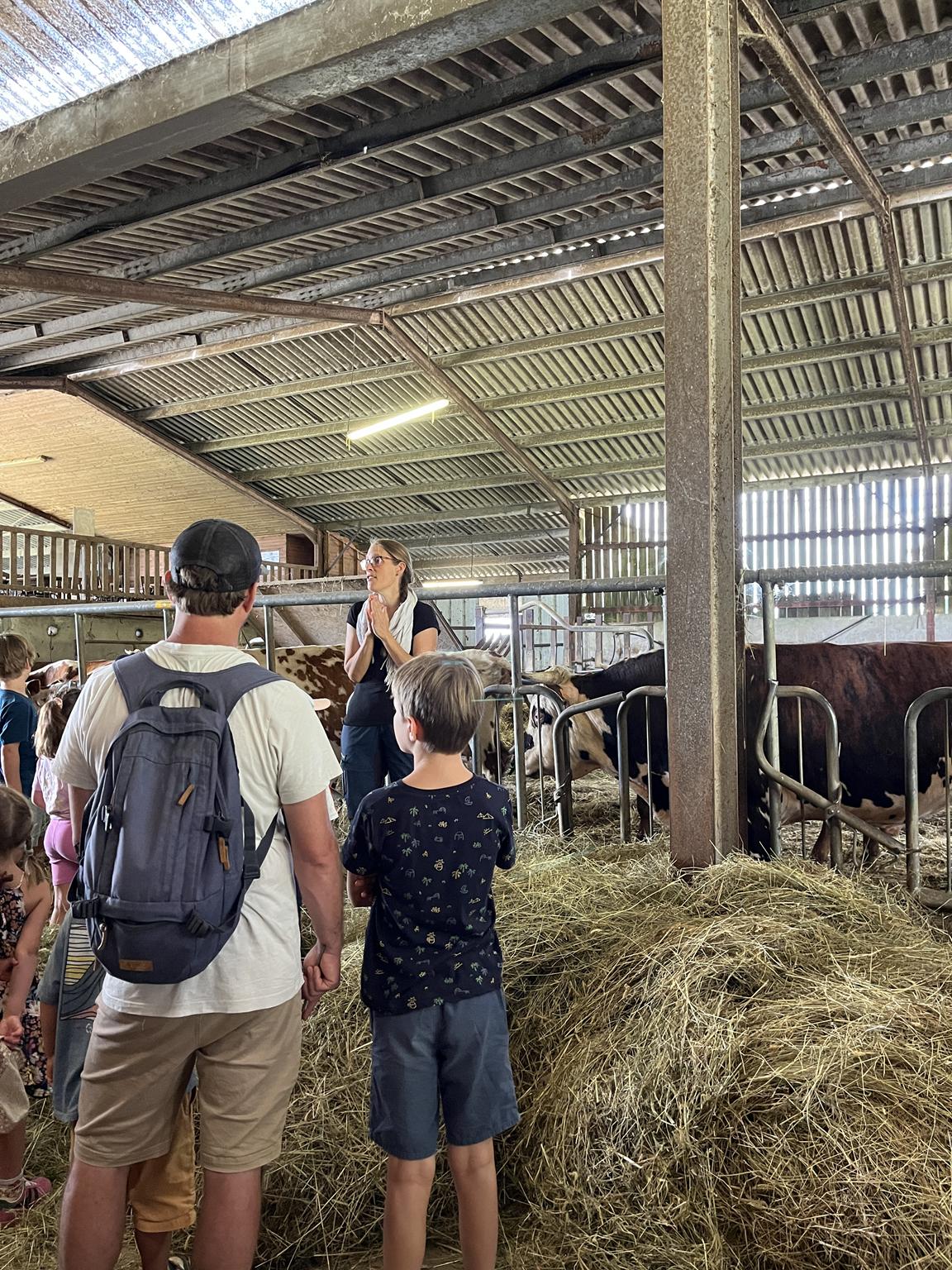 Photo de Brunch à la ferme Lait P'tits béarnais à Castétis