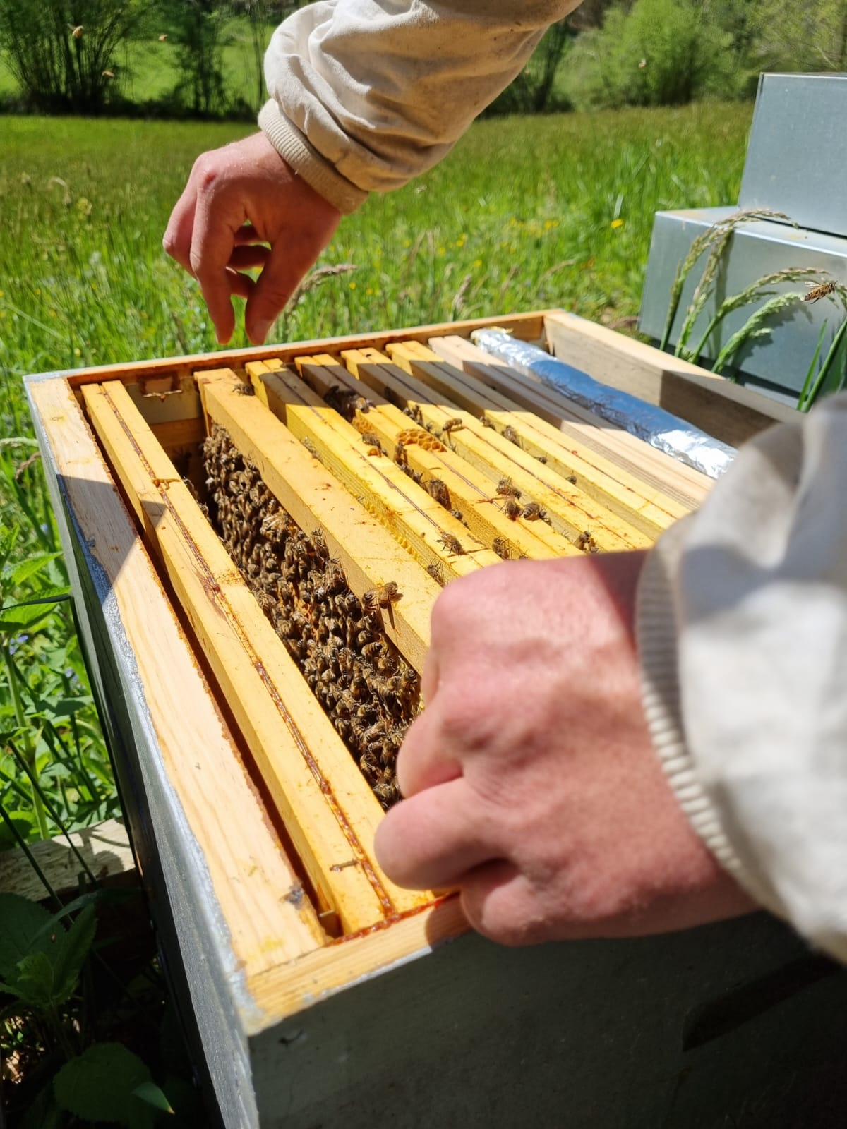 Rdv à la ferme : De la ruche au pot