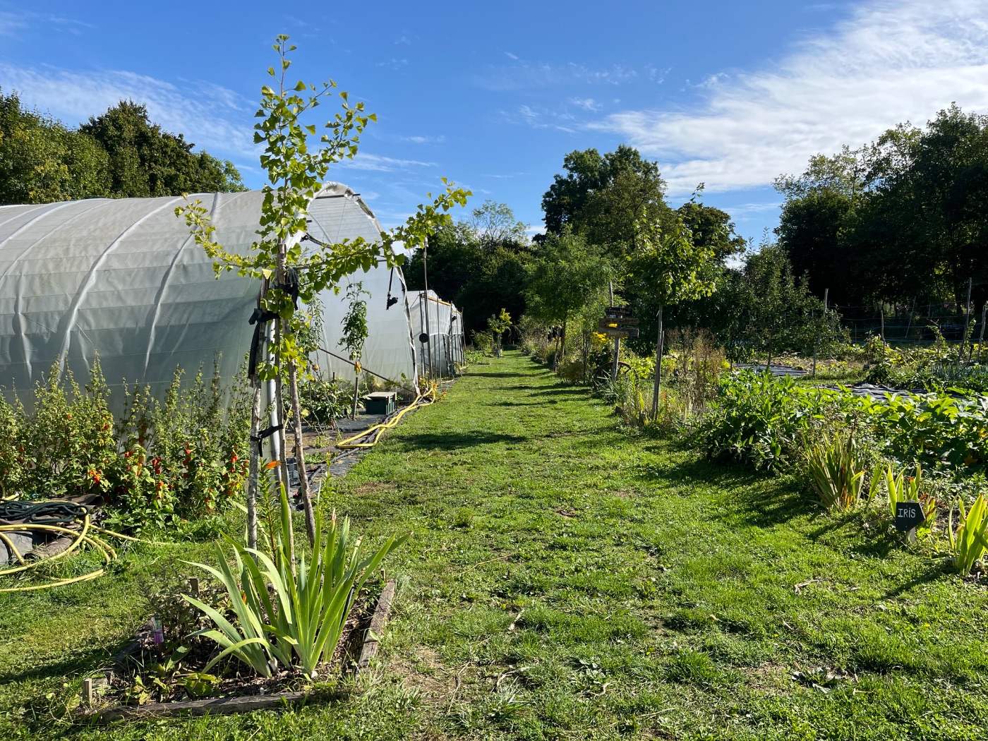 Photo de Visite et découverte du jardin