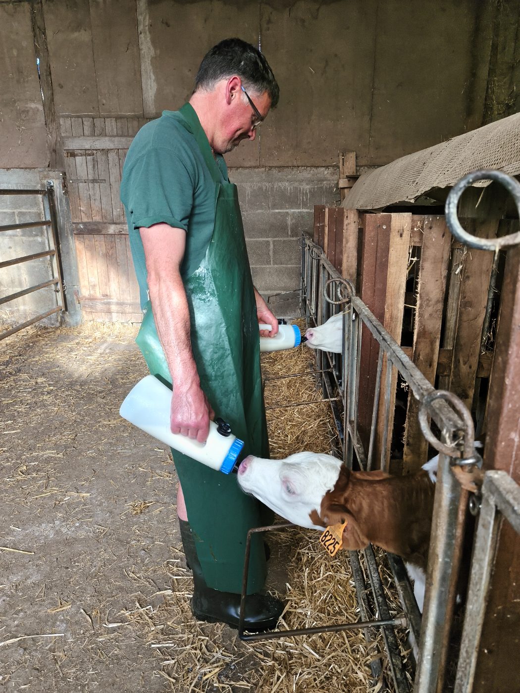 Photo de Visite et découverte de la traite de nos belles vaches Montbéliardes