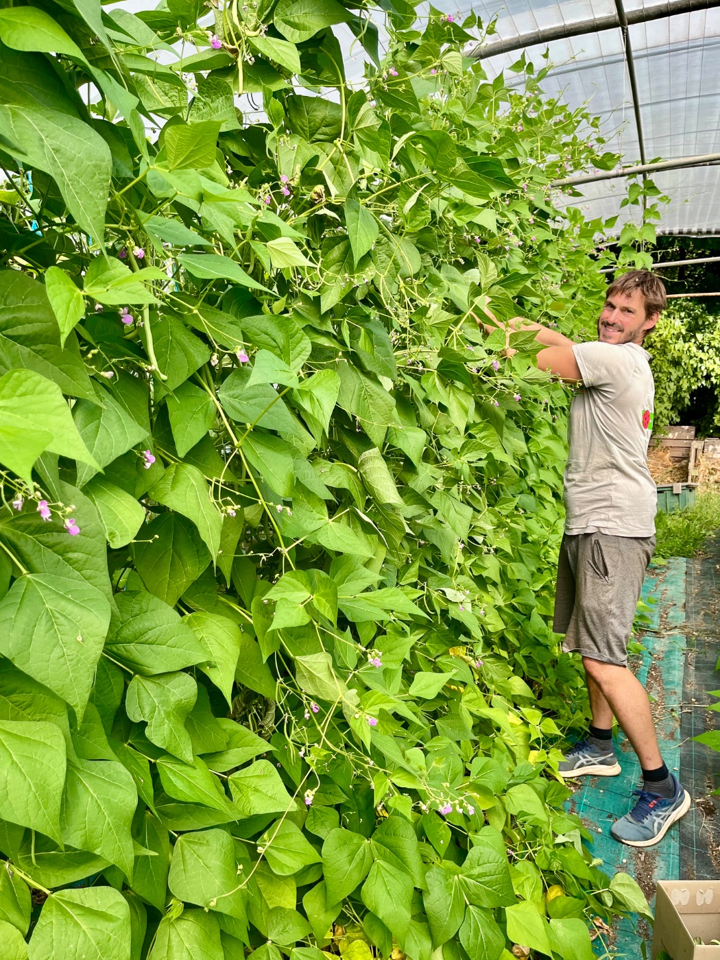 Photo de Visite et découverte du jardin