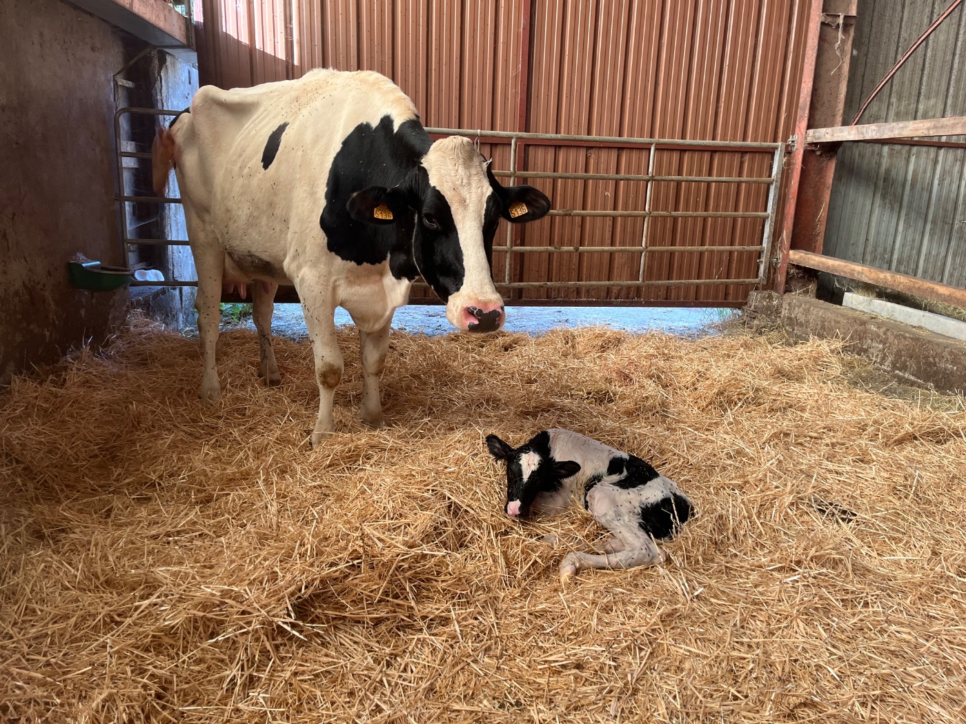 Photo de Visite de la ferme
