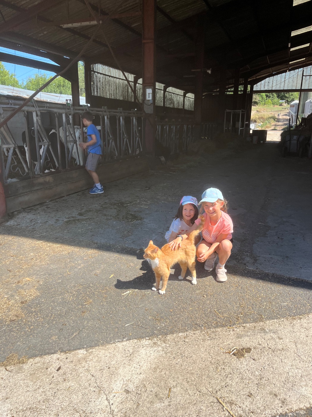Photo de Visite de la ferme