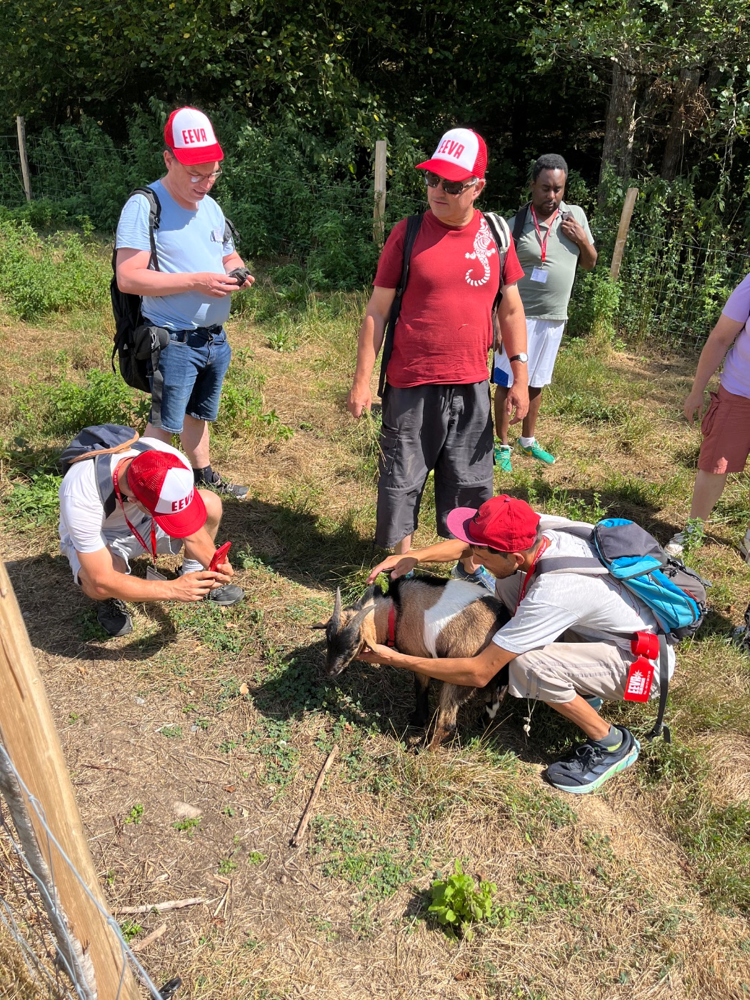 Photo de Visite de la ferme