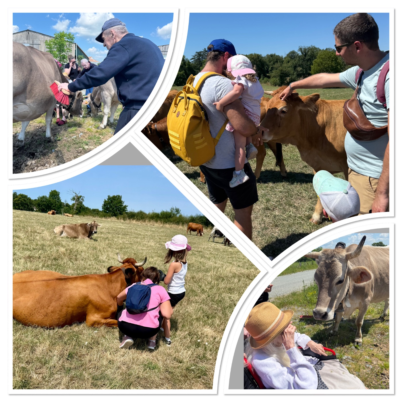 La vallée des vaches 