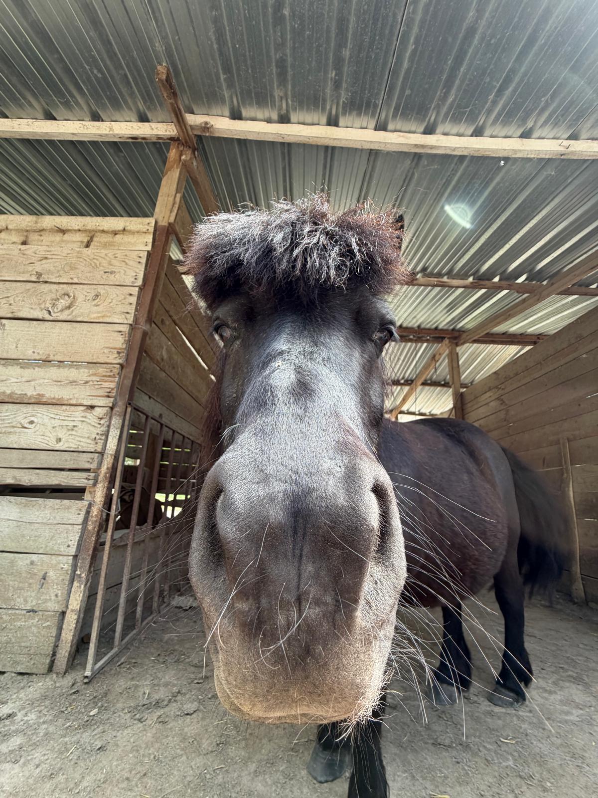 Photo de À la rencontre des animaux du Mas de la Gallinière