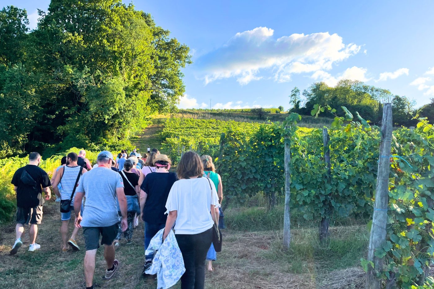 Photo de Rdv à la ferme : Du fromage au chai