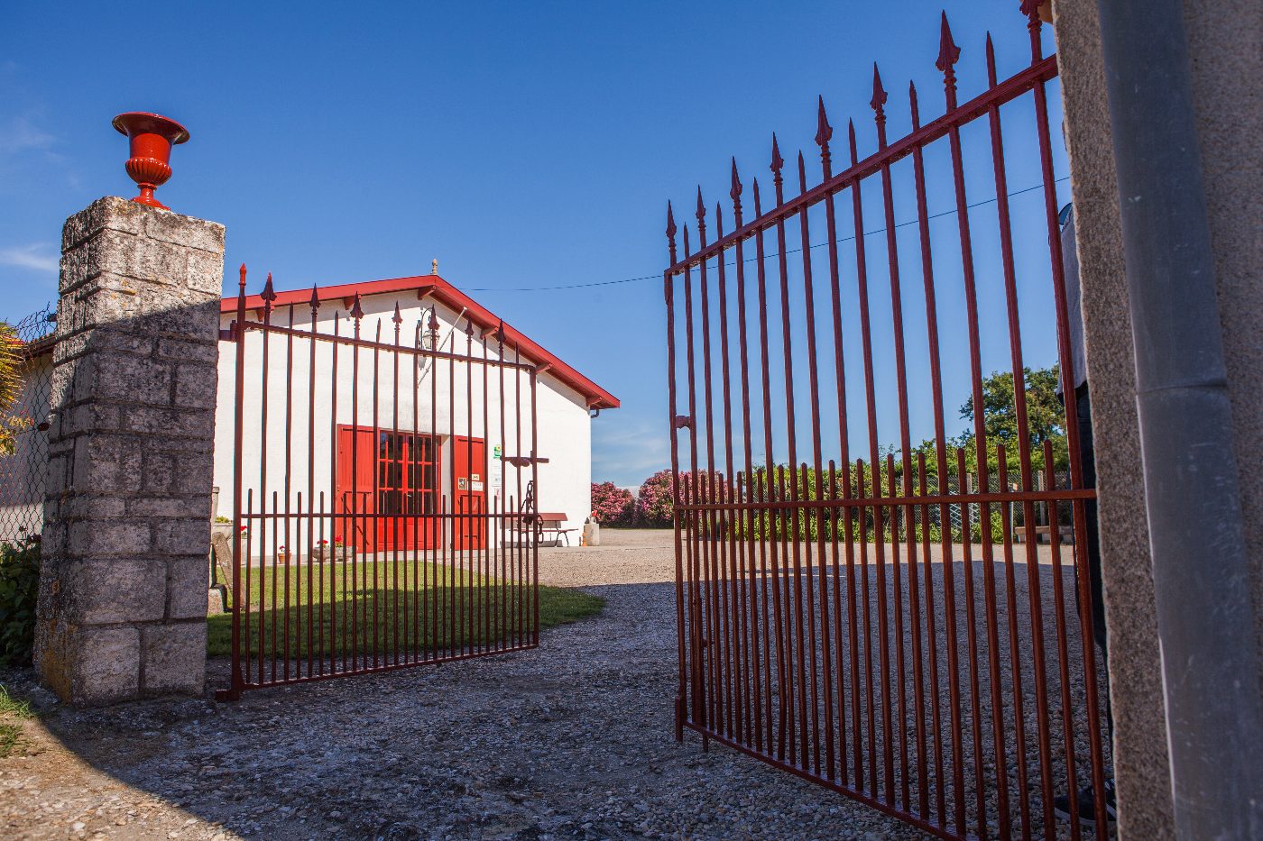 Photo de Visite du domaine avec le vigneron