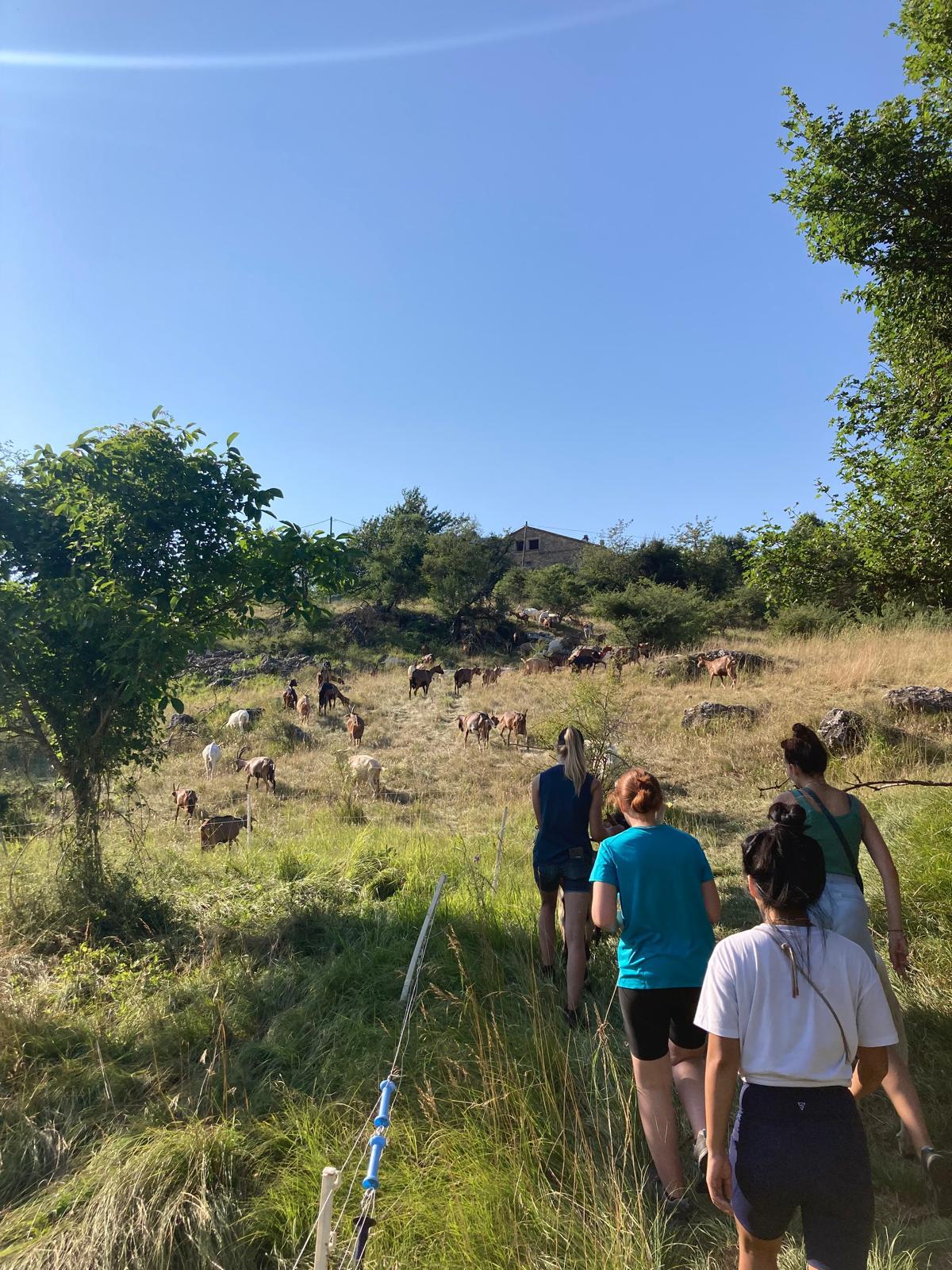 Cultiver le lien avec la terre : 10 raisons de s'évader à la ferme 