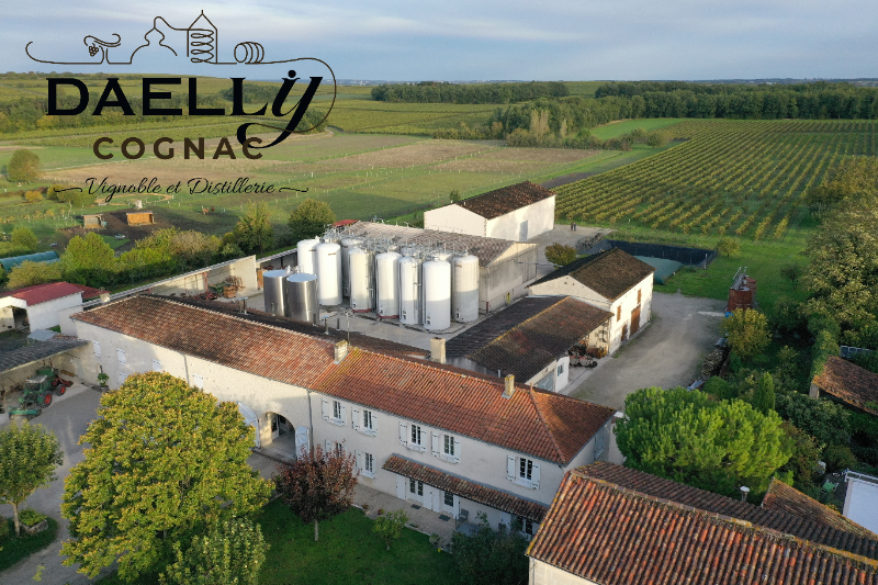 Photo de Exploration de la vigne au chai