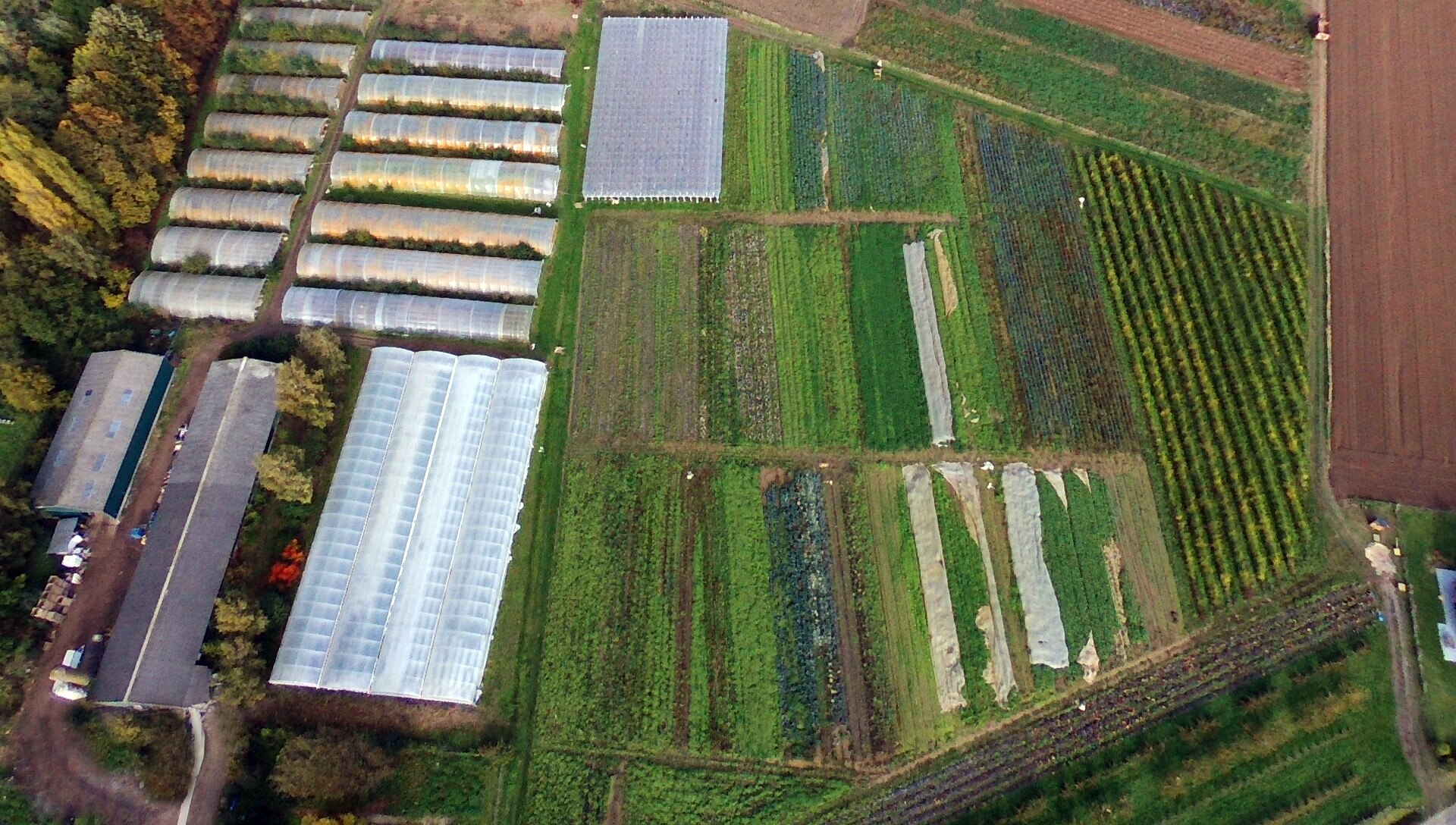 Photo de Cueillette à la ferme
