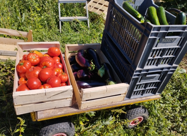 Photo de LES SERRE AU PRE - Thierry Massalve