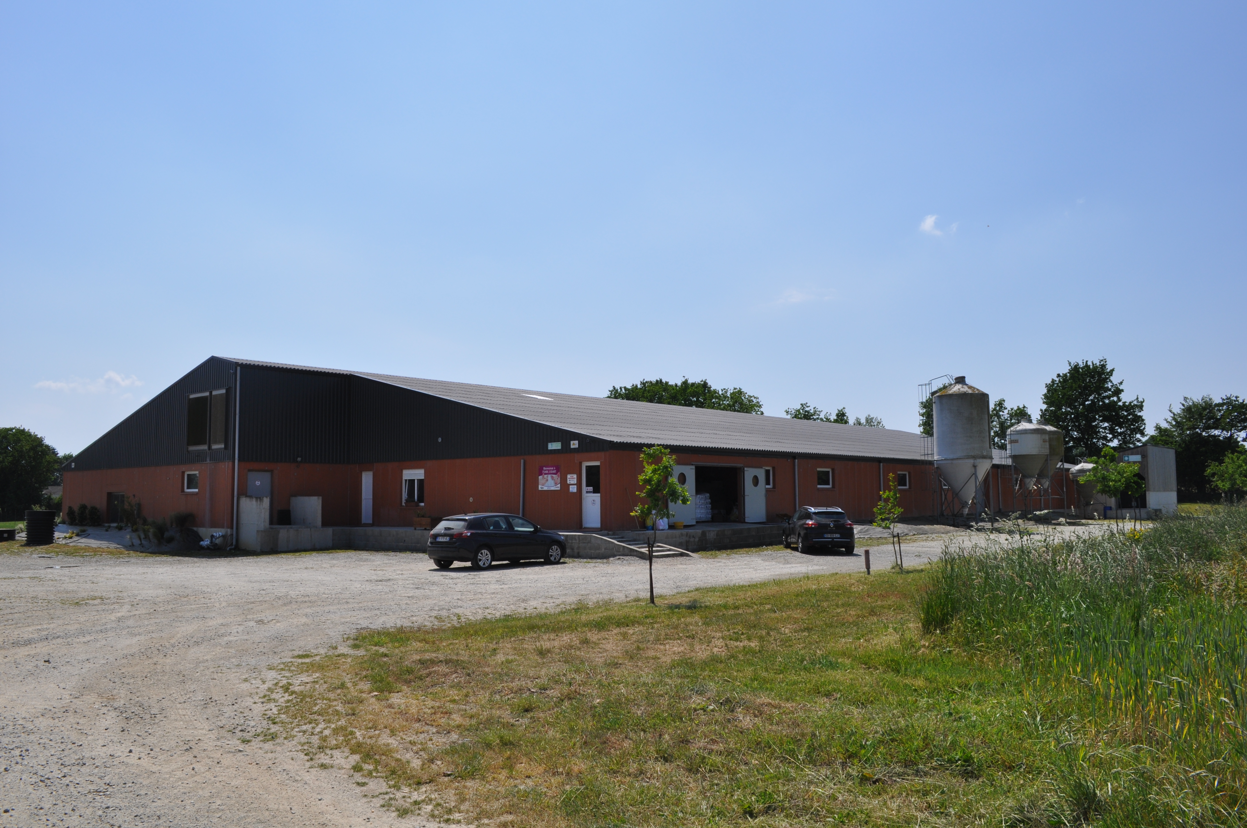 Photo de EARL LISART