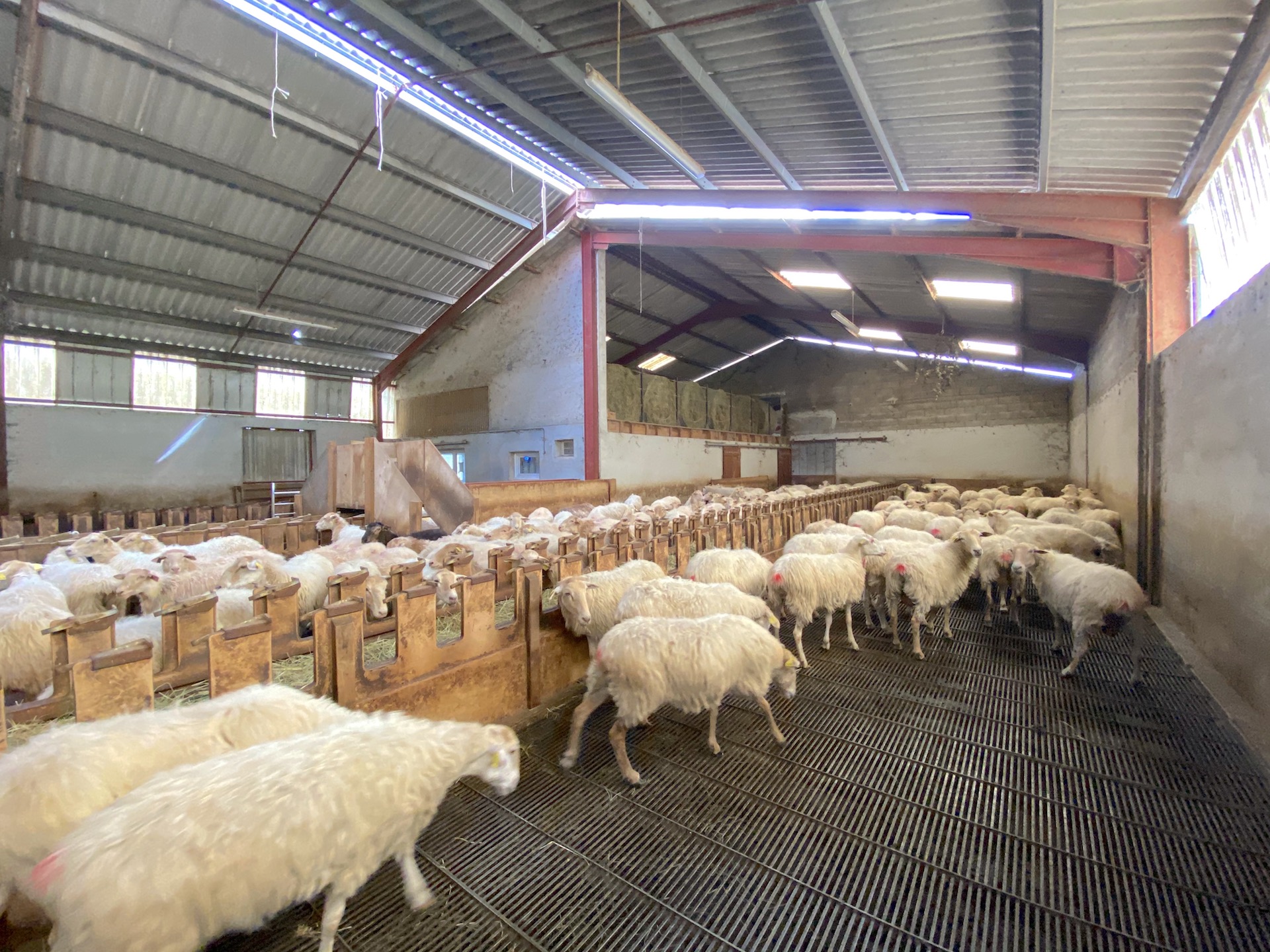 Photo de GAEC LANDRAN