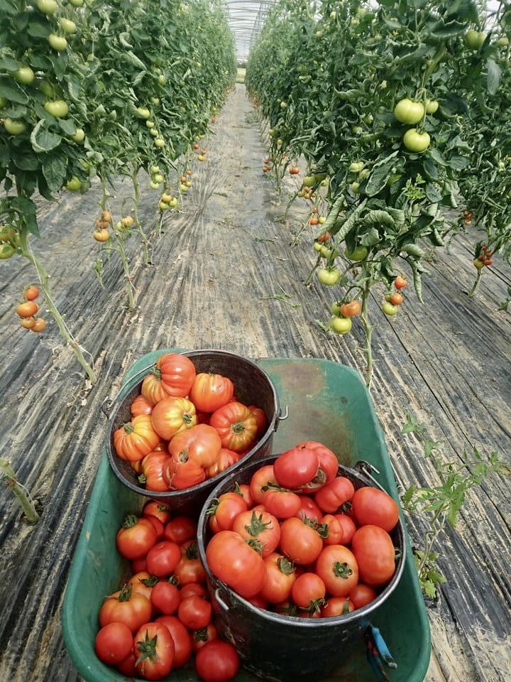 Photo de Les Jardins de Saint Sernin