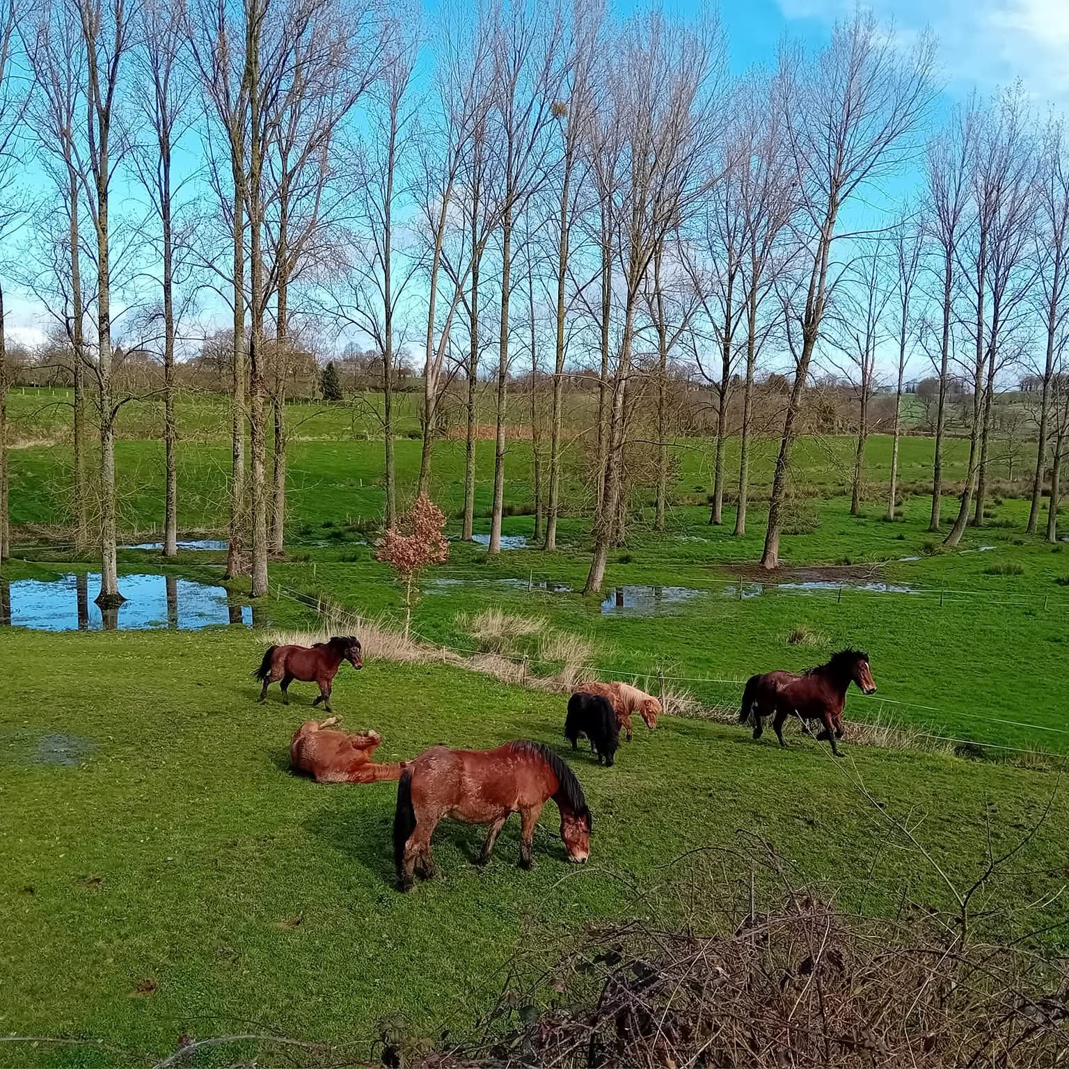 Eco ferme pédagogique de Chambesne centre équi social 