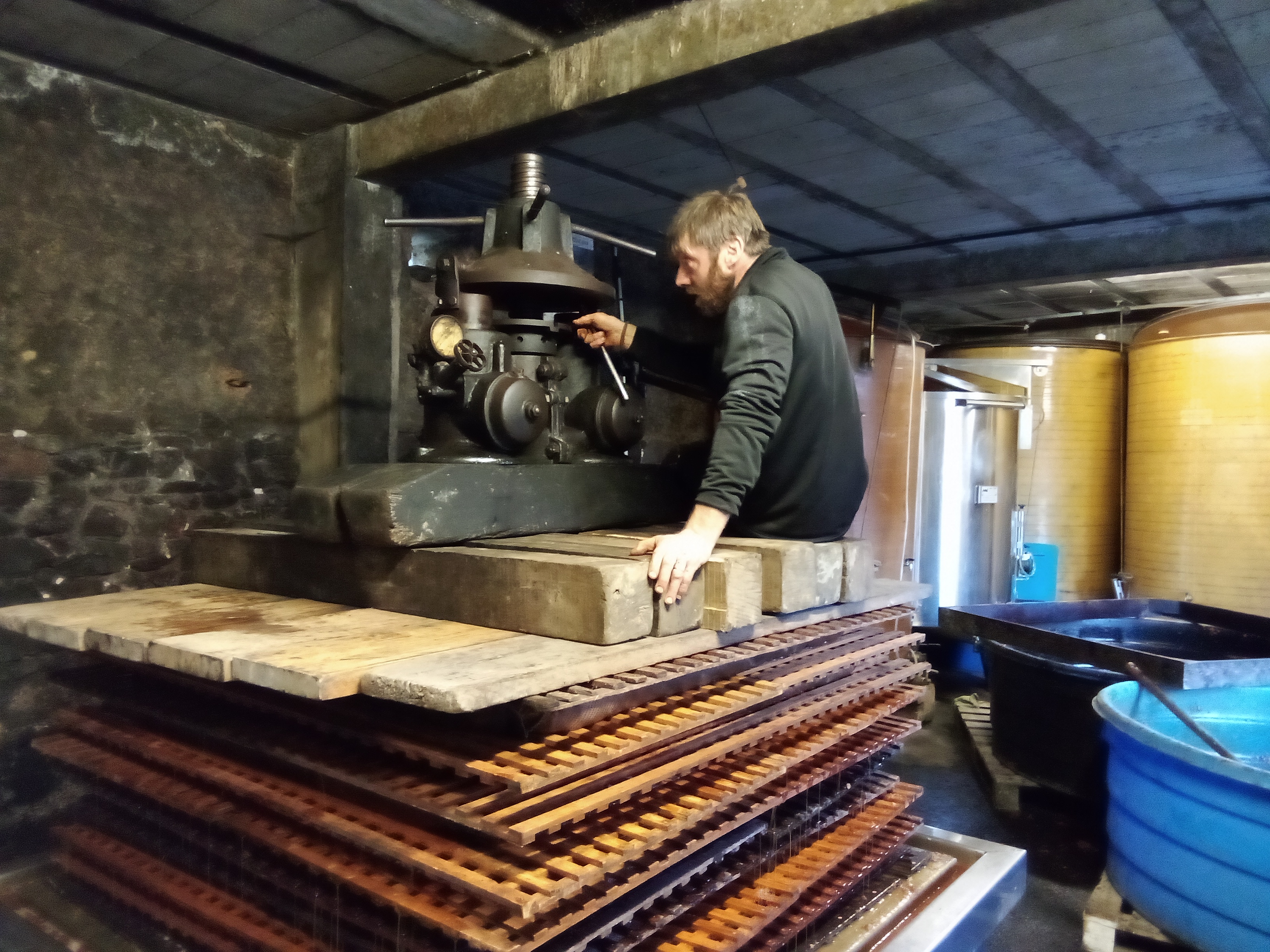 Photo de Visite découverte guidee