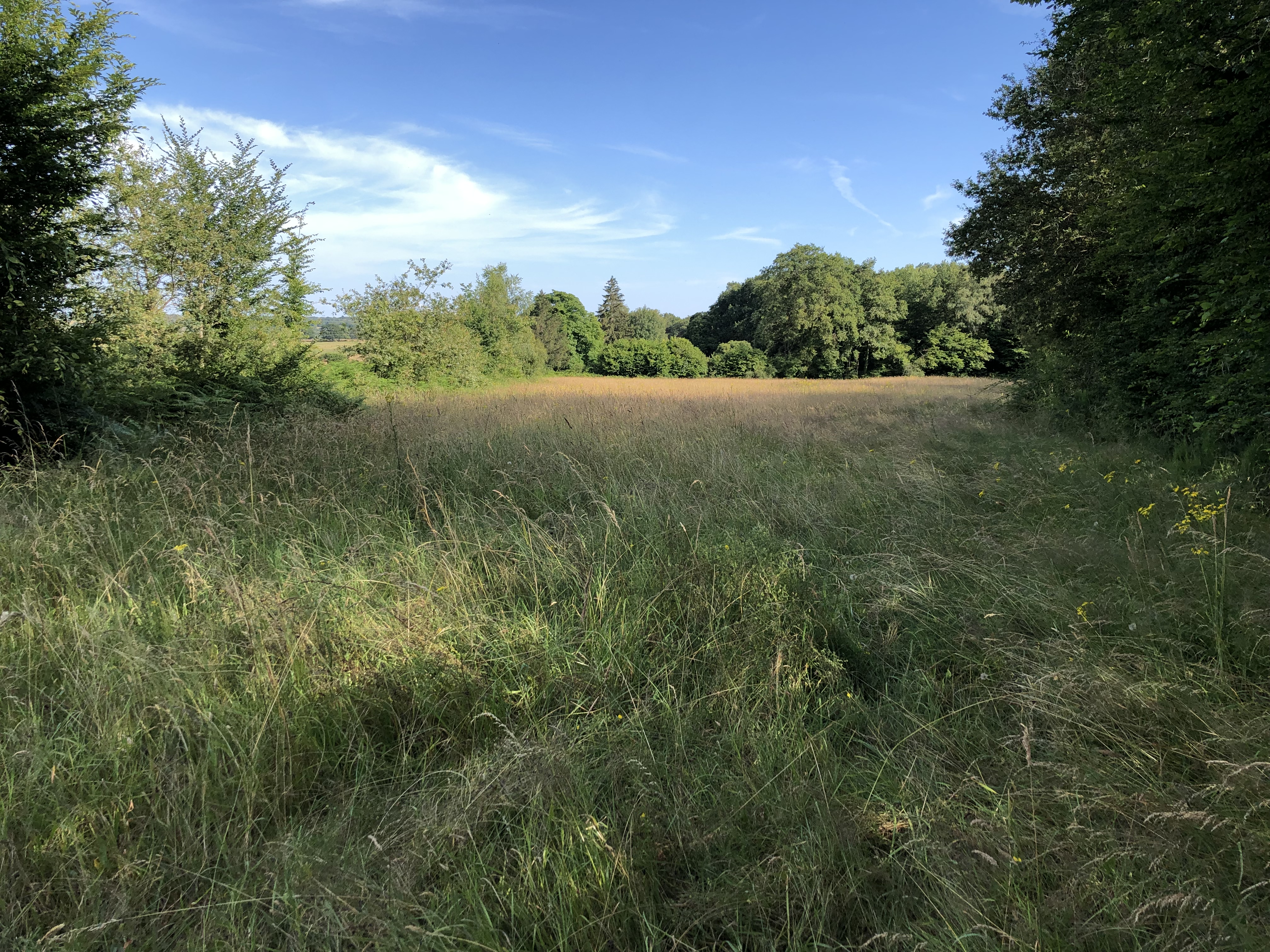 Photo de Jardin-Forêt Les Blaireautins