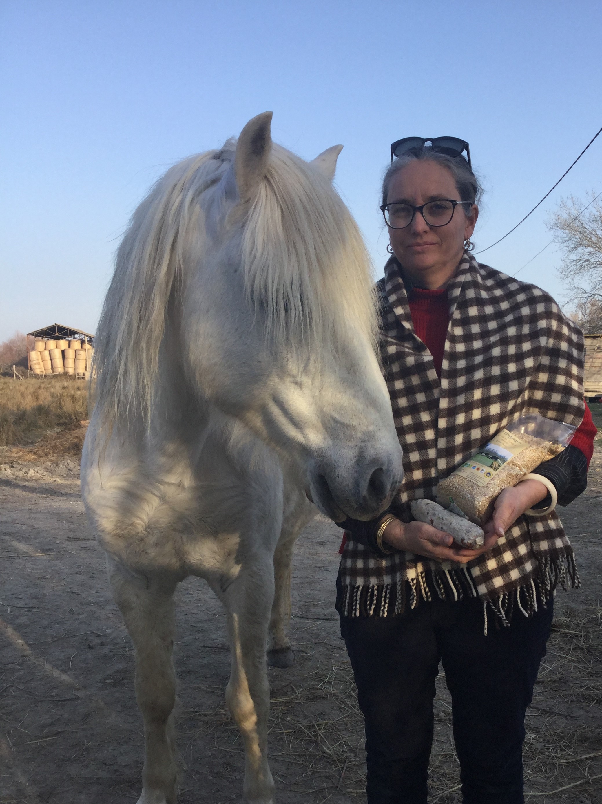 Photo de les délices du Scamandre