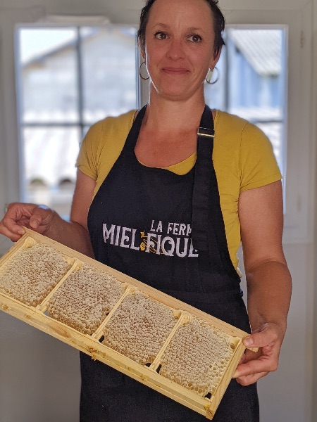 Photo de Baptême d’apiculture - Adultes