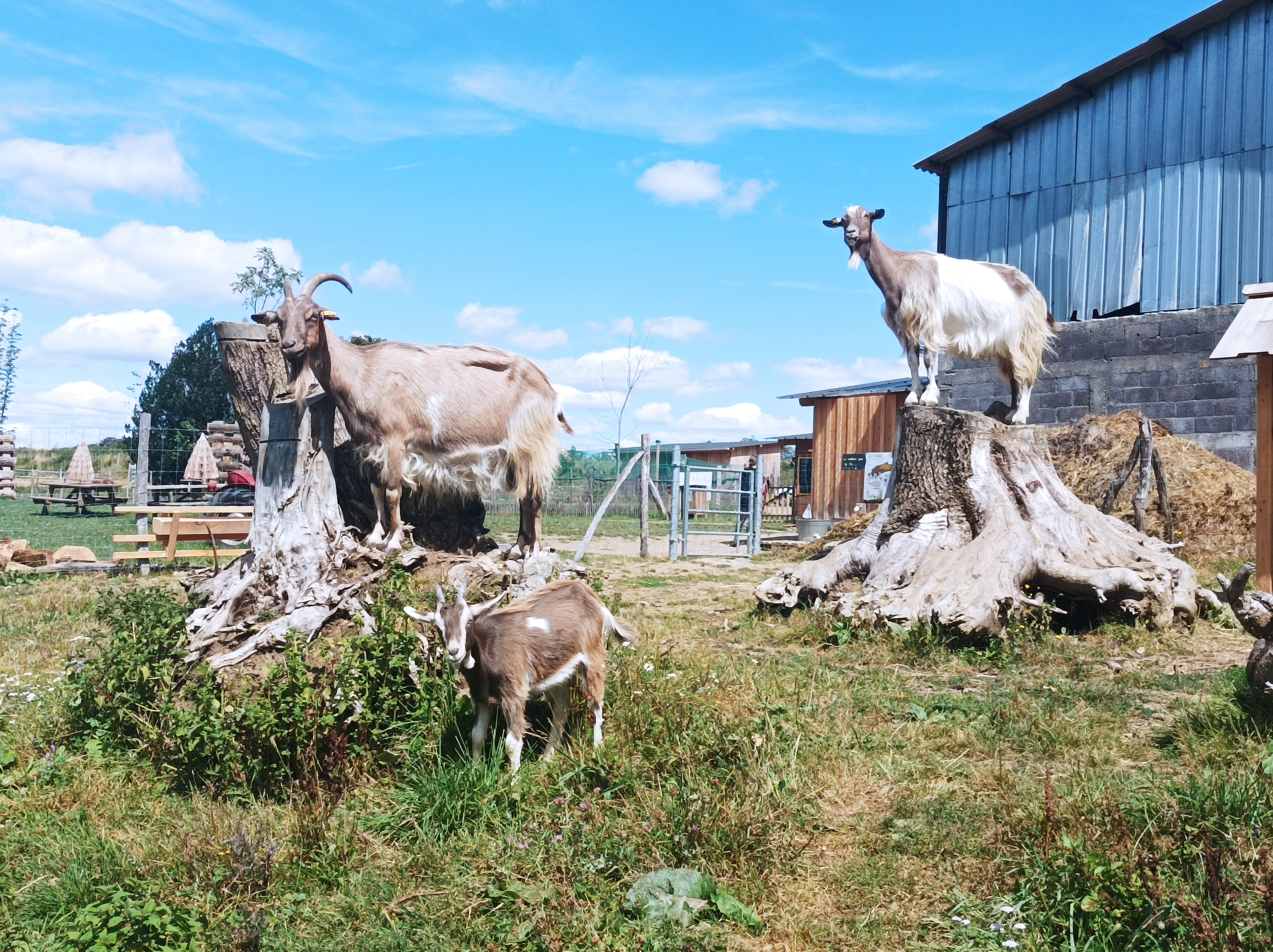Photo de La ferme de la Marinette