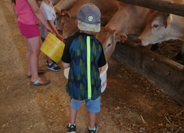 Photo de La P'tite ferme de Carole