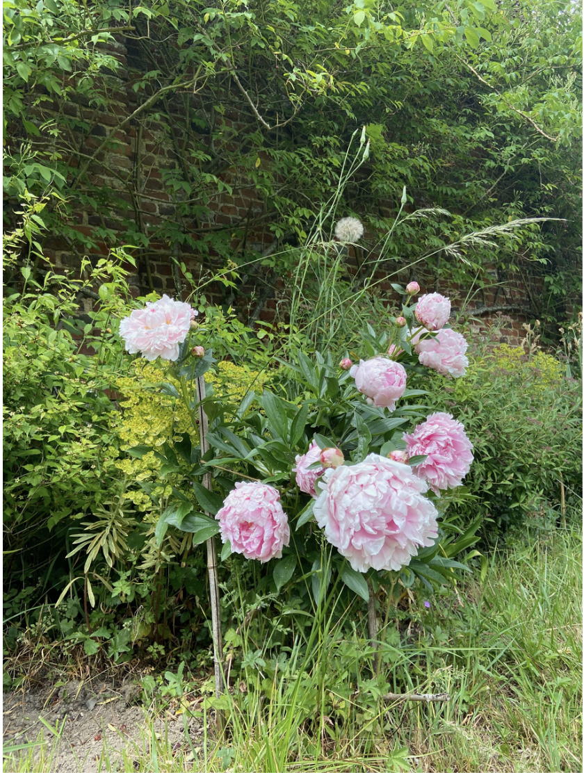 Photo de Domaine de Richecourt