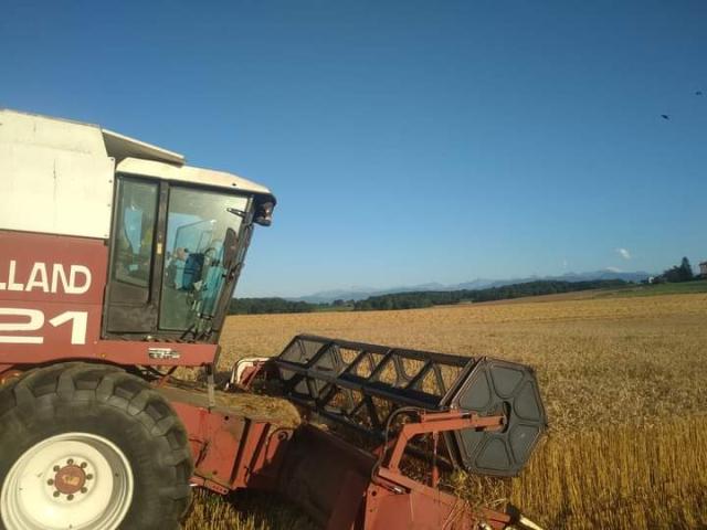 Photo de La Ferme ô Pâtes