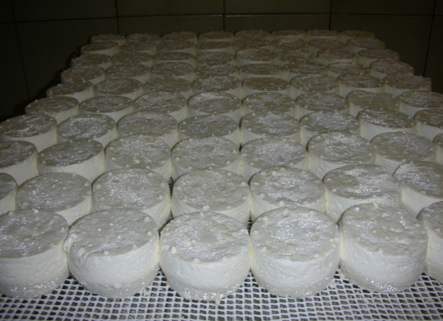 Photo de FERME DU BREGALON