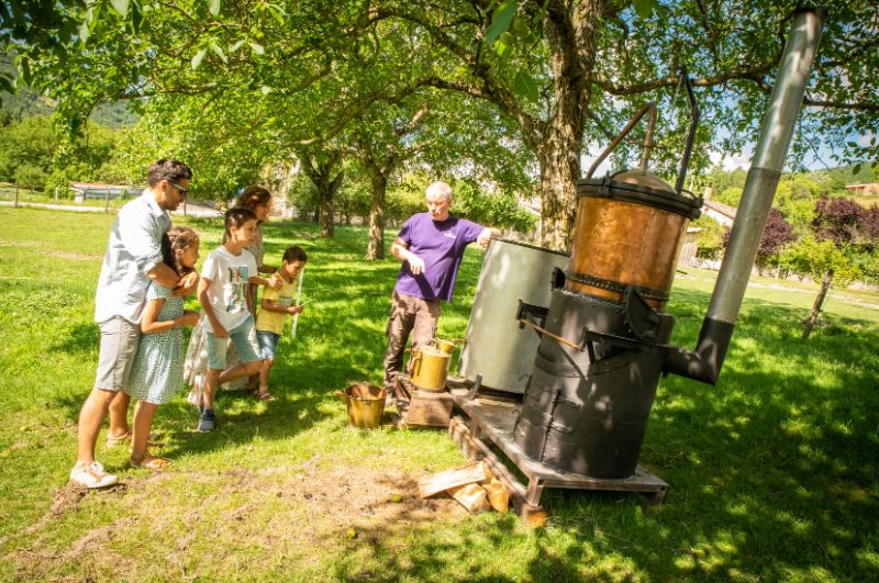Photo de Atelier de distillation à l’ancienne de la lavande au pied du Vercors
