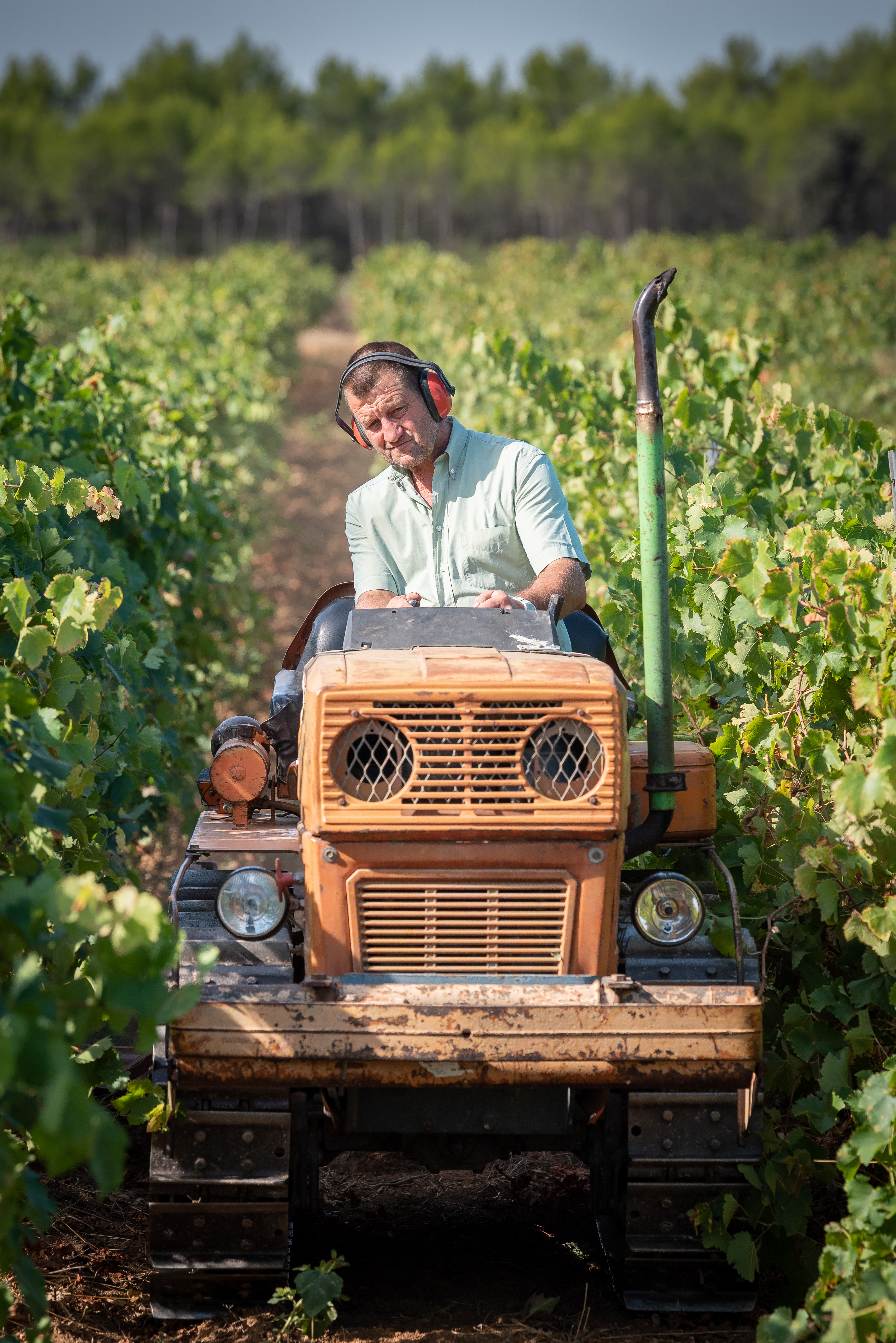 Photo de Domaine de la Triballe