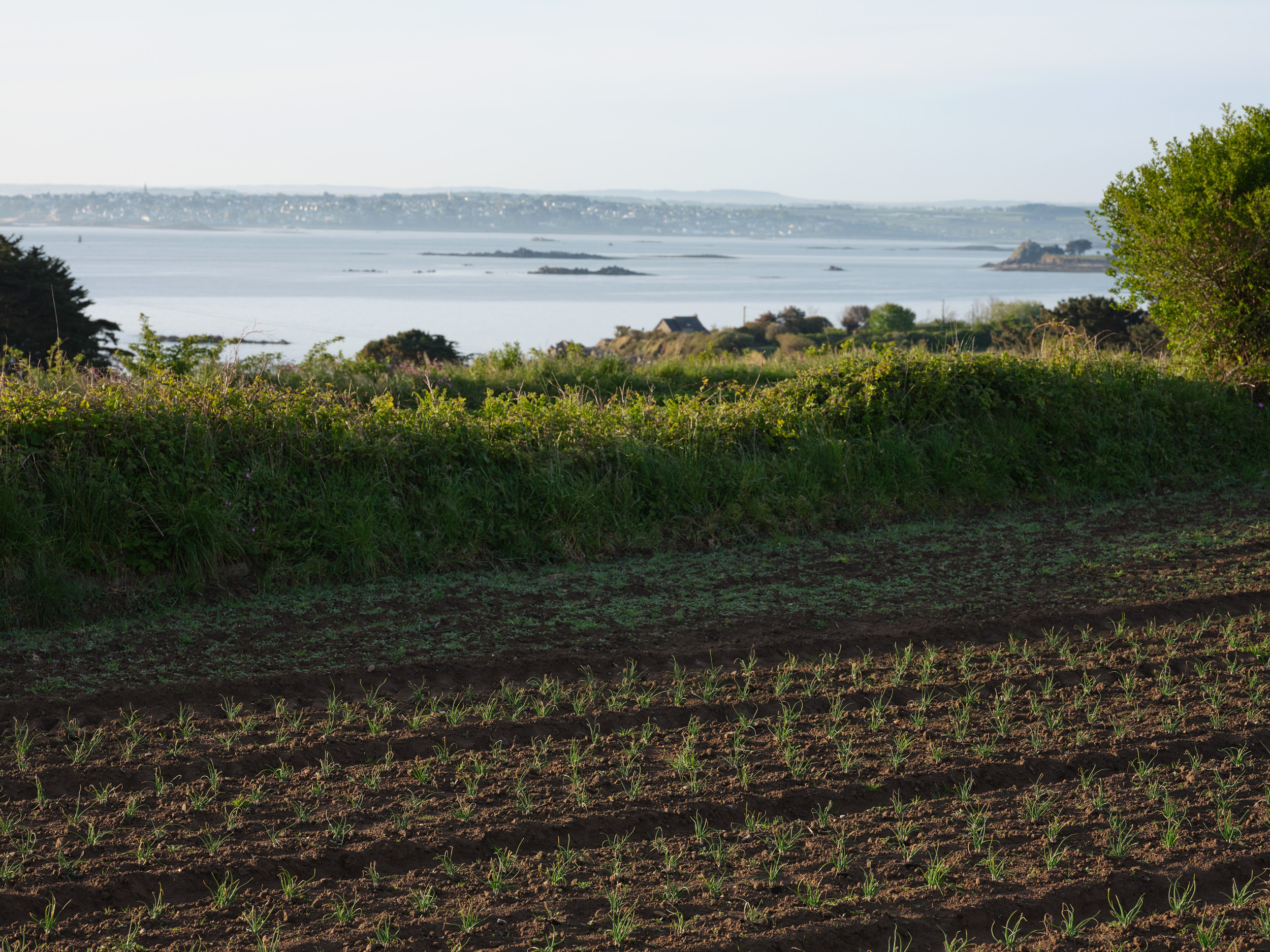 Photo de MAISON QUEMENER