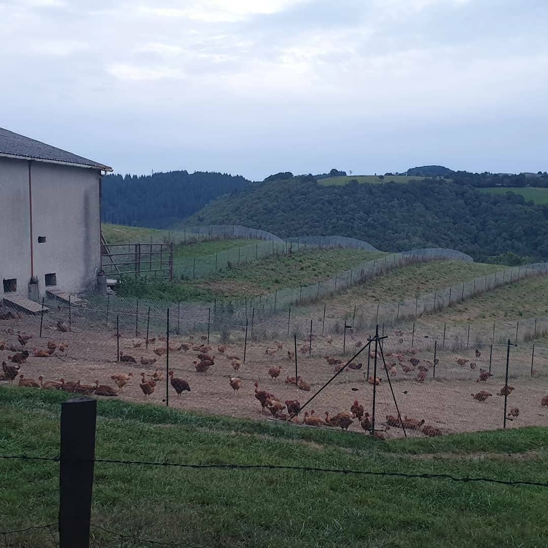 Photo de La Ferme de Murols
