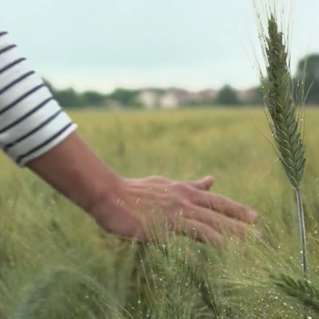 Photo de Fabrication de pâtes artisanales