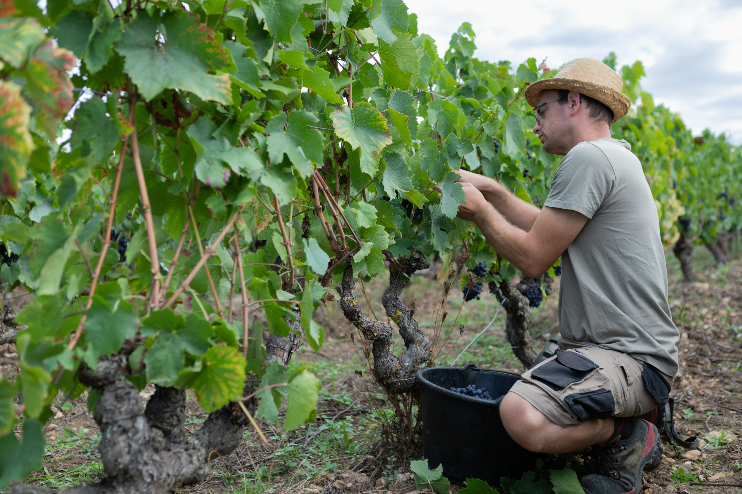 Photo de Domaine de Cézin