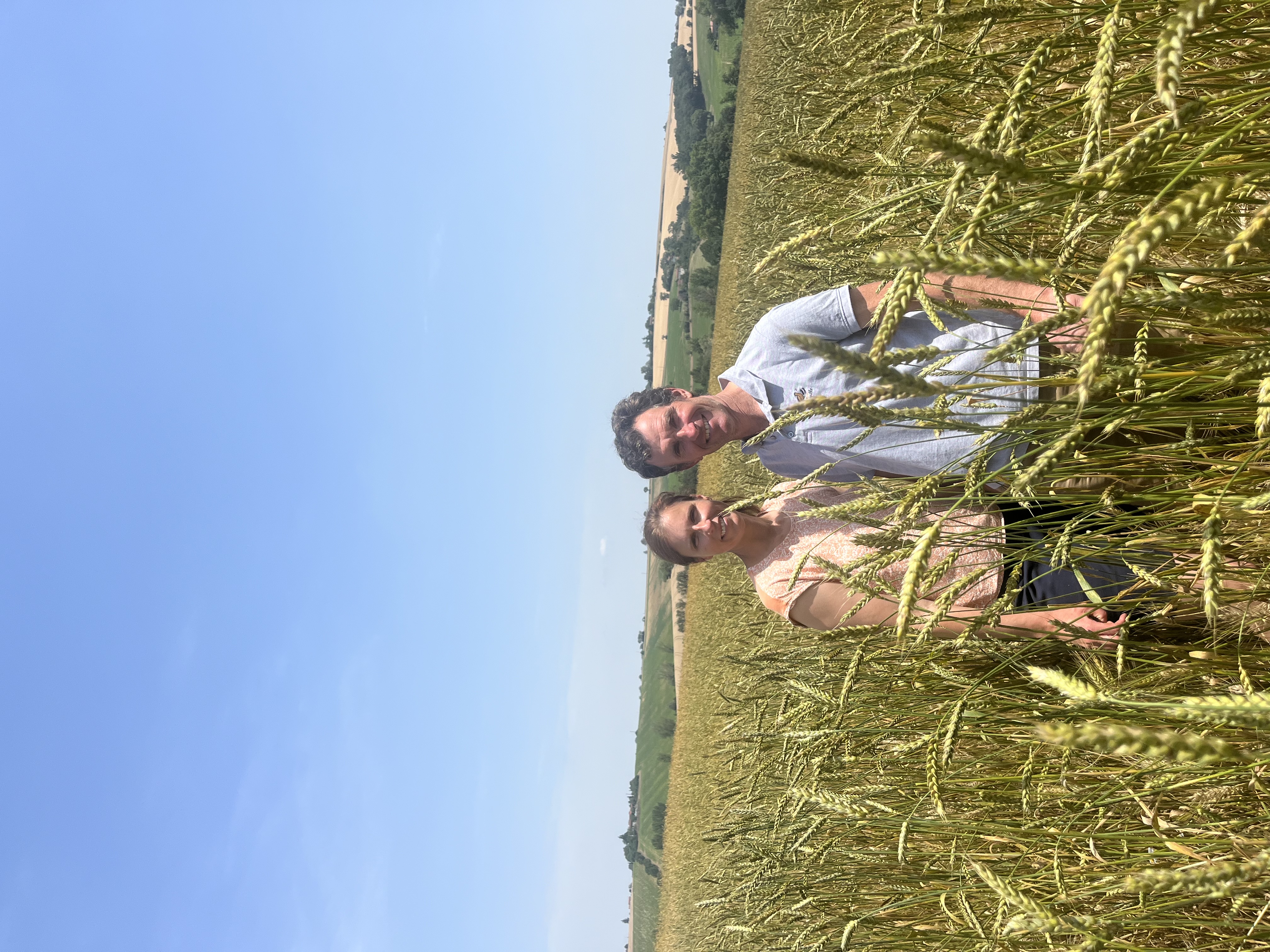 Photo de Scea de Guillounet 