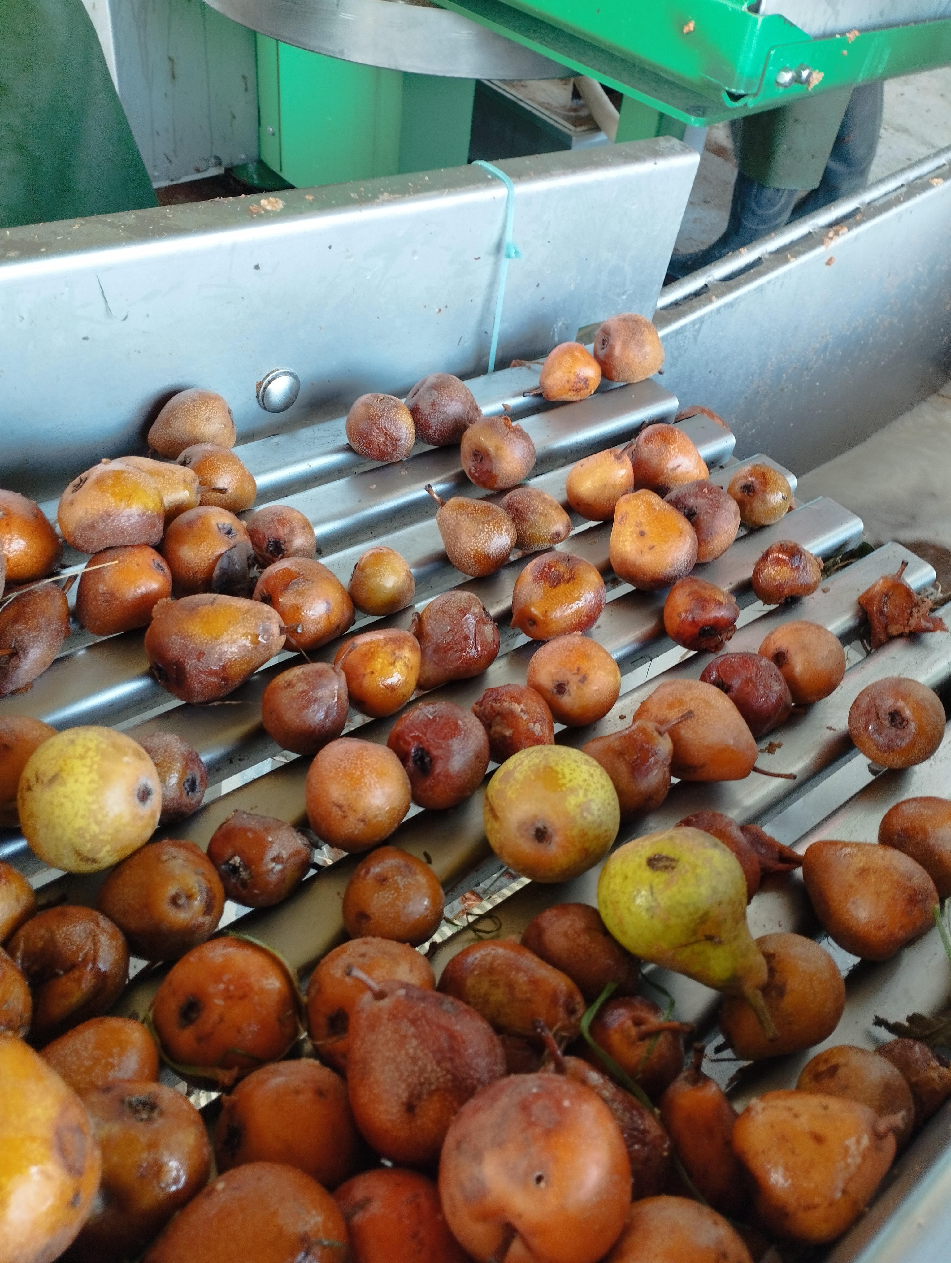 Photo de CIDRERIE ET RUCHERS SARTHOIS