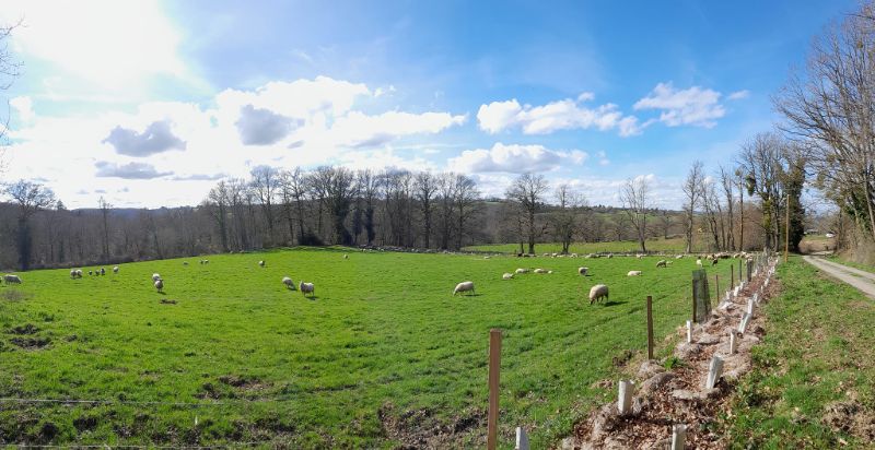 Photo de Immersion à la ferme 
