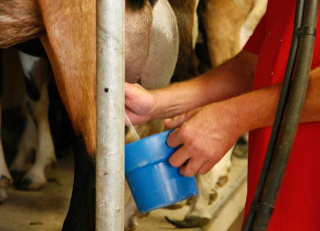 Photo de FERME DU BREGALON