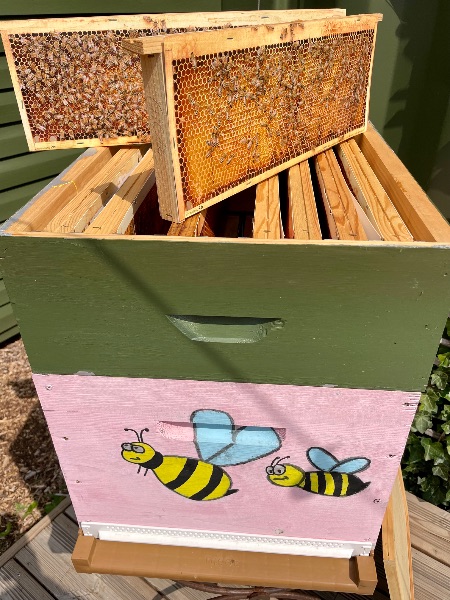 Photo de Visite de la ferme pour petits & grands 