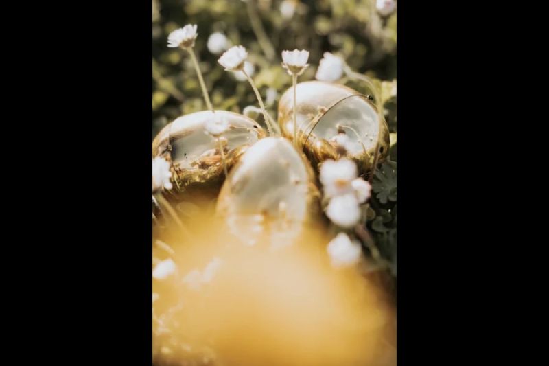 Photo de Chasse aux oeufs dans les vignes - Domaine de Montels