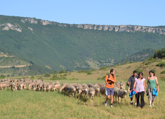 Photo de Ferme de Castelnau
