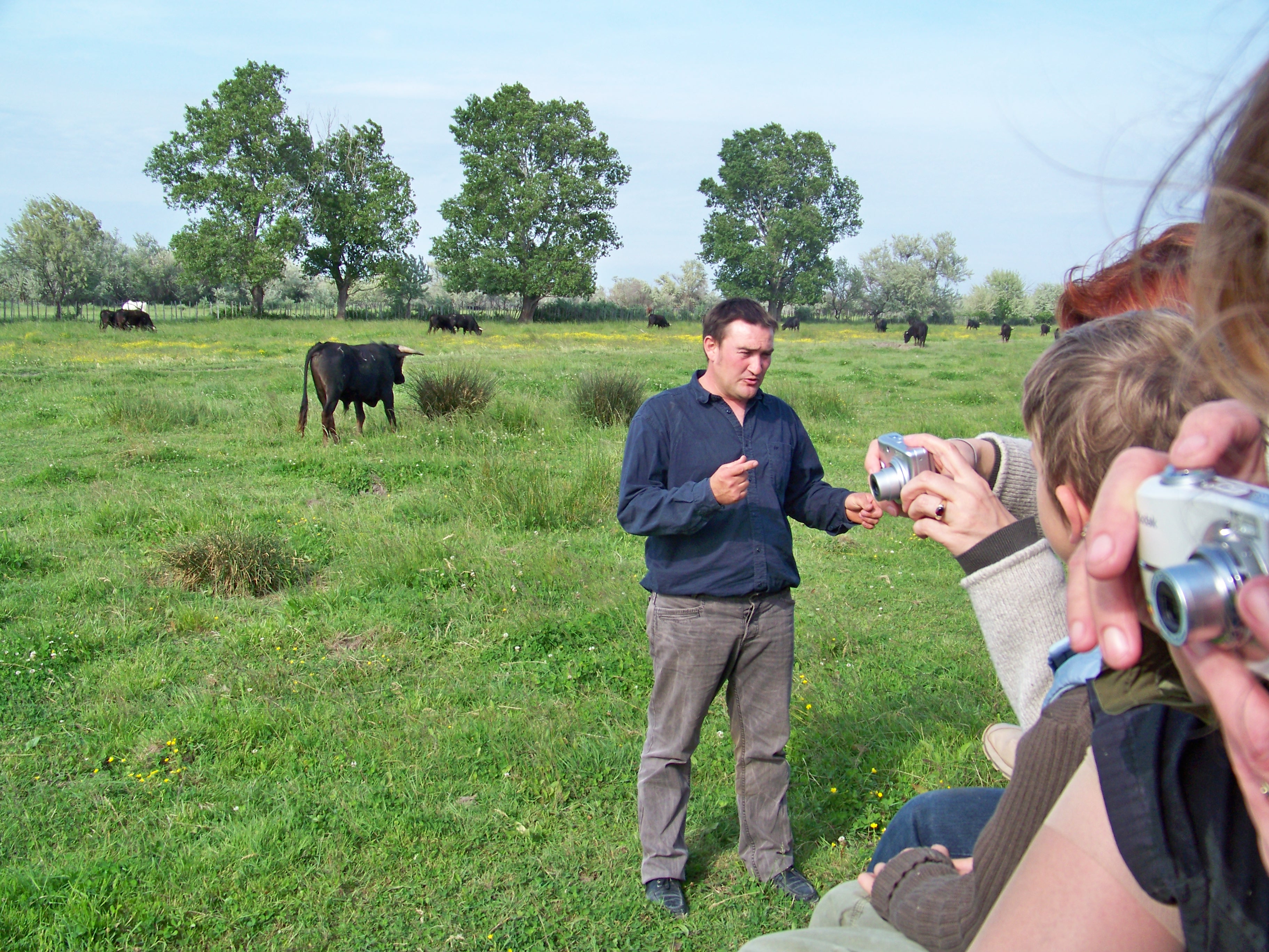 Photo de Visite de l'élevage de Taureau au Délices du Scamandre